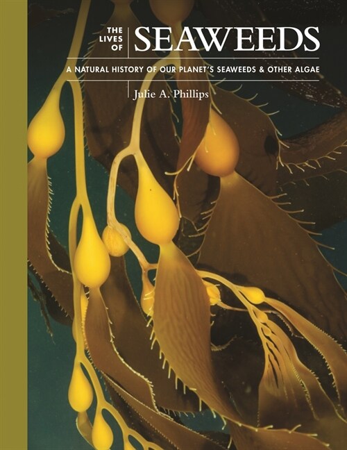 The Lives of Seaweeds: A Natural History of Our Planets Seaweeds and Other Algae (Hardcover)