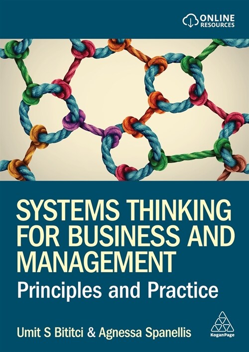 Systems Thinking for Business and Management : Principles and Practice (Paperback)