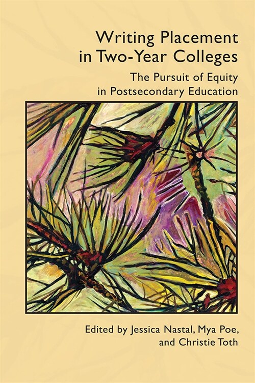 Writing Placement in Two-Year Colleges: The Pursuit of Equality in Postsecondary Education (Paperback)