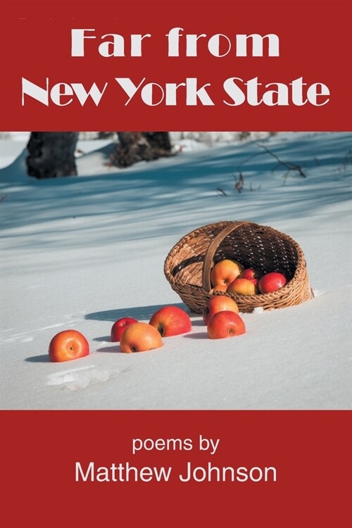 Far from New York State (Paperback)