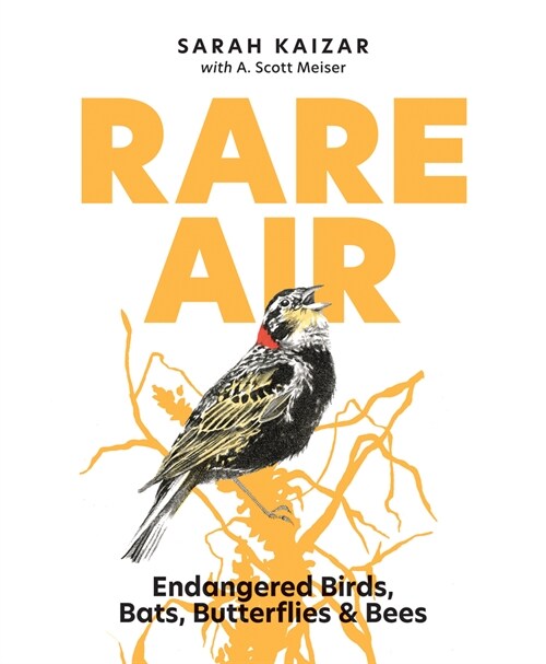 Rare Air: Endangered Birds, Bats, Butterflies, & Bees (Hardcover)
