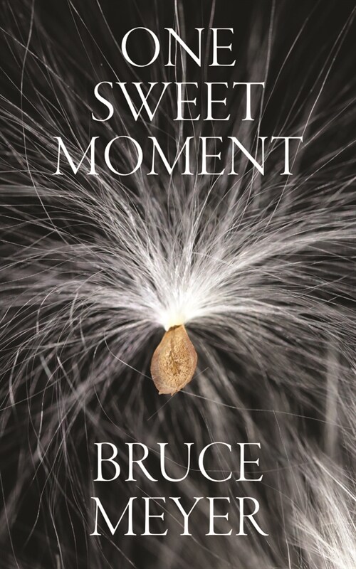 One Sweet Moment: Volume 305 (Paperback)