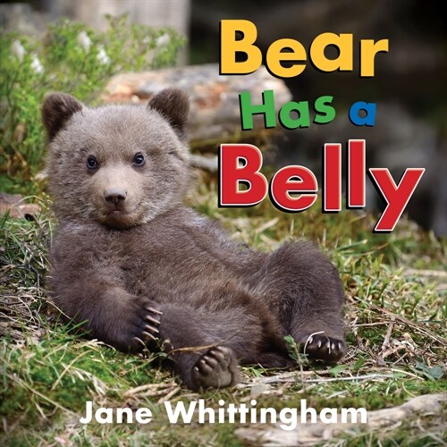 Bear Has a Belly (Board Books)