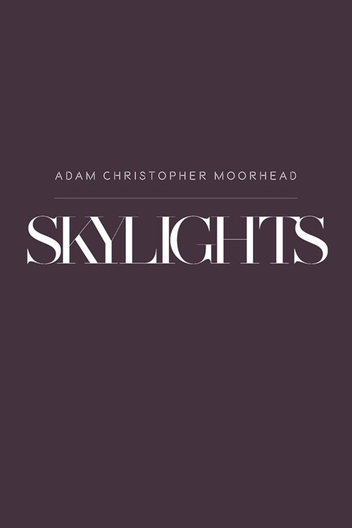 Skylights (Paperback)