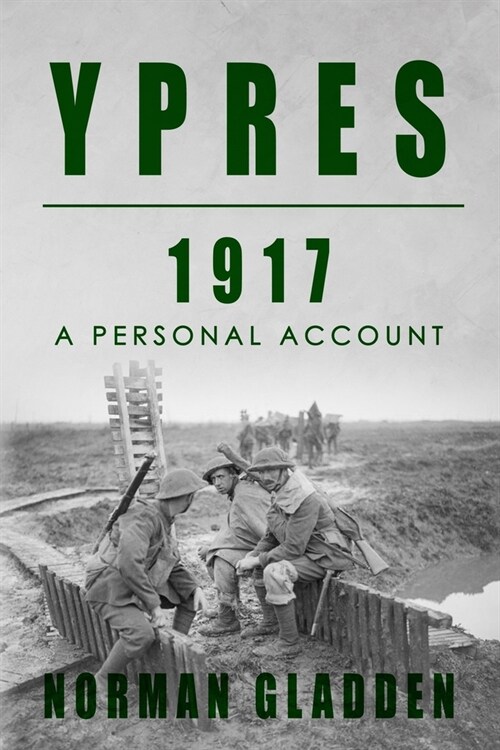 Ypres, 1917: A Personal Account (Paperback)