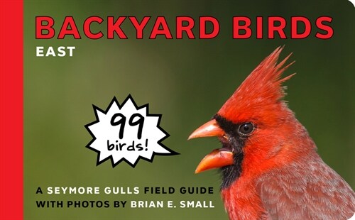 Backyard Birds East (Paperback)