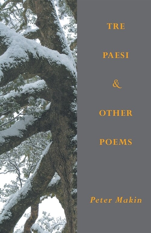 Tre Paesi & Other Poems (Paperback)