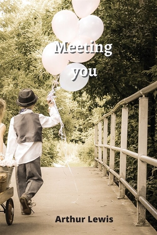 Meeting you (Paperback)