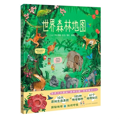 World Forest Map (Hardcover)