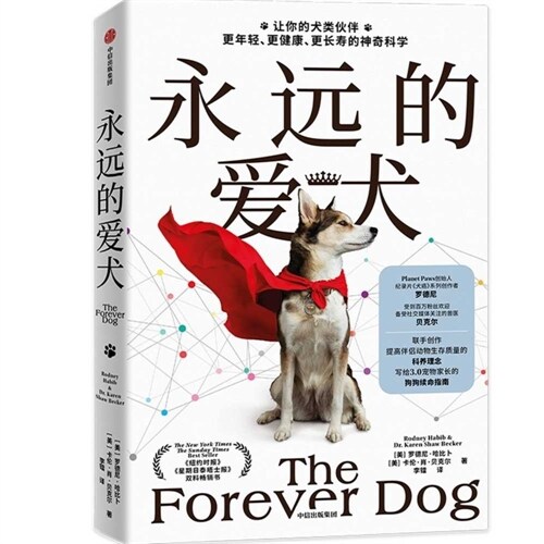 The Forever Dog: (Paperback)
