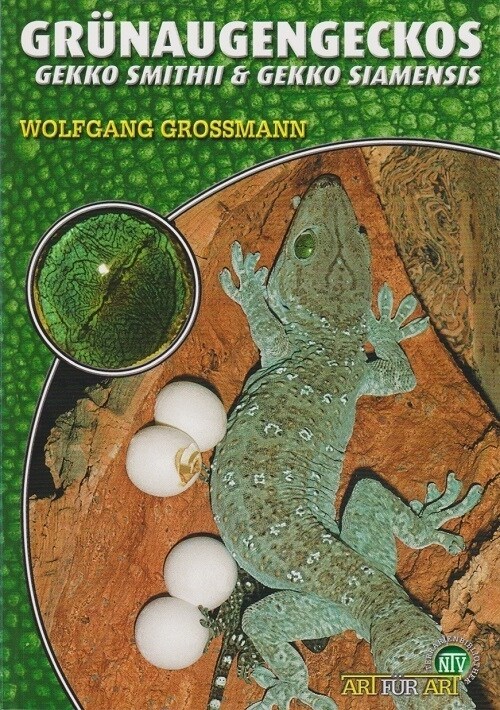 Grunaugengeckos (Paperback)