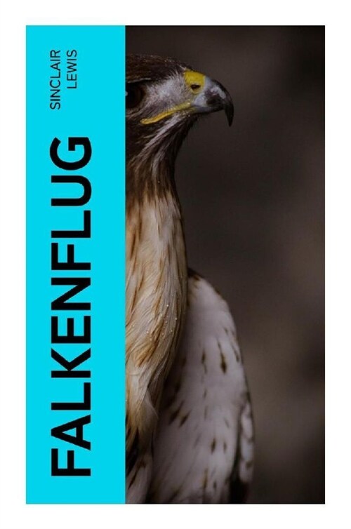 Falkenflug (Paperback)