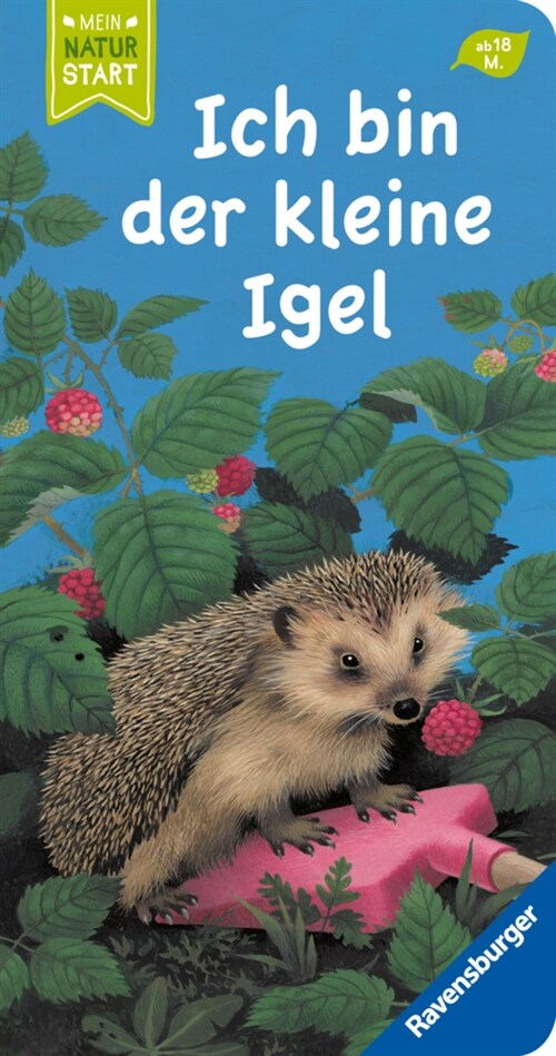 Ich bin der kleine Igel (Board Book)