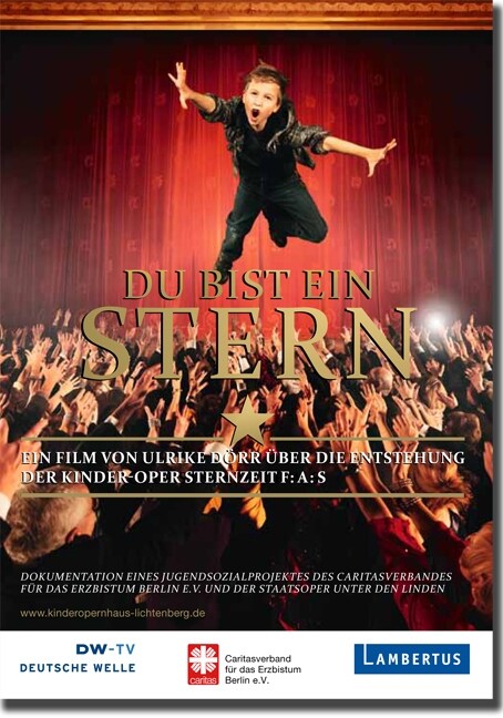 Du bist ein Stern, 1 DVD, DVD-Video (DVD Video)