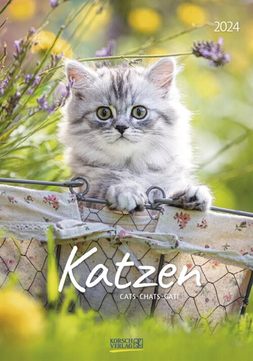 Katzen 2024 (Calendar)