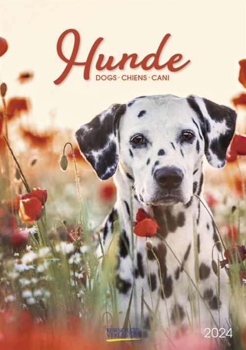 Hunde 2024 (Calendar)