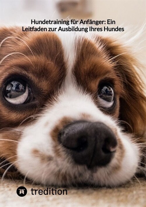 Hundetraining fur Anfanger: Ein Leitfaden zur Ausbildung Ihres Hundes (Hardcover)
