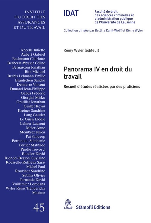 Panorama IV en droit du travail (Book)