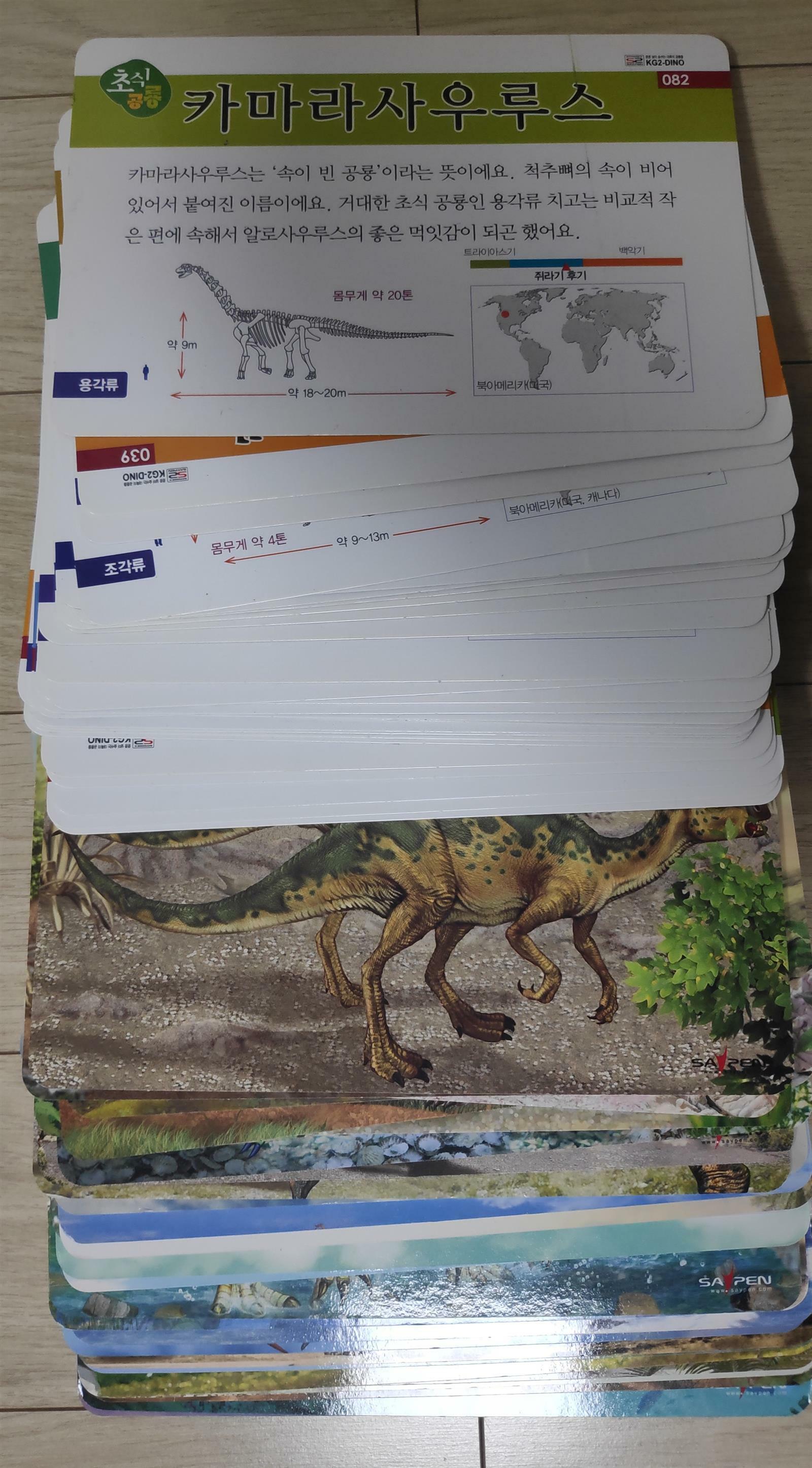 [중고] 쿵쿵 살아 숨 쉬는 대륙의 공룡들 공룡 카드 60종