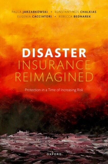 Disaster Insurance Reimagined : Protection in a Time of Increasing Risk (Hardcover)