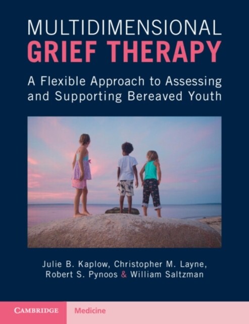 Multidimensional Grief Therapy : A Flexible Approach to Assessing and Supporting Bereaved Youth (Paperback)