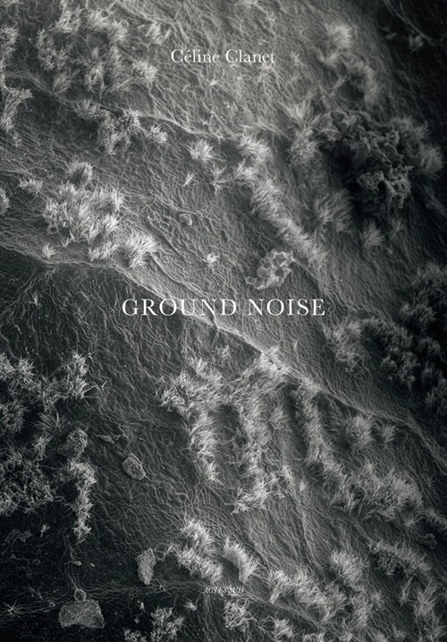 C?ine Clanet: Ground Noise (Hardcover)