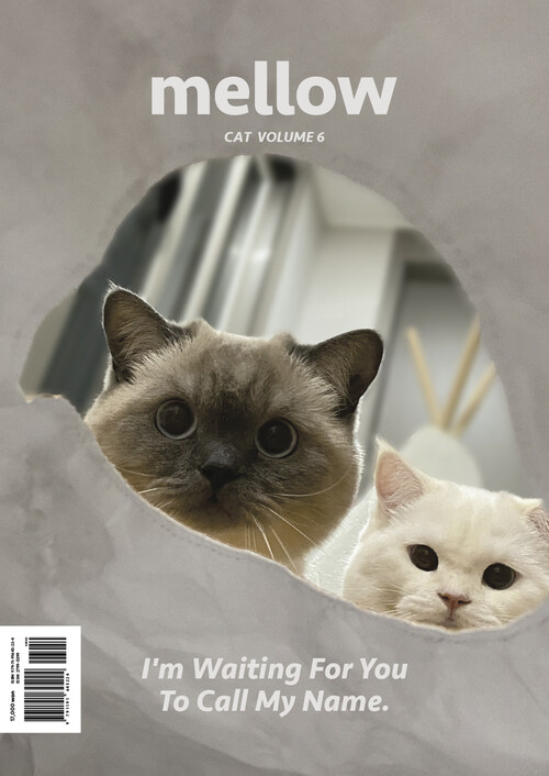 Mellow Cat Volume 6 (멜로우매거진)