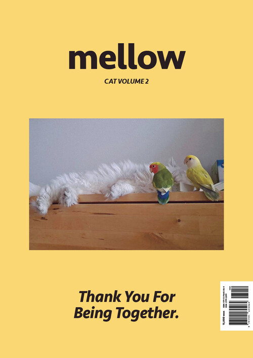 Mellow Cat Volume 2 (멜로우매거진)