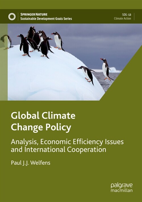 Global Climate Change Policy: Analysis, Economic Efficiency Issues and International Cooperation (Paperback, 2022)