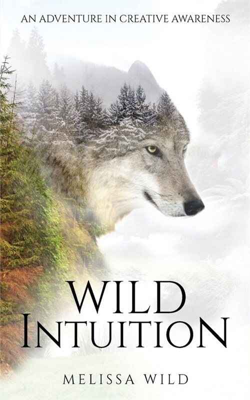 Wild Intuition (Paperback)