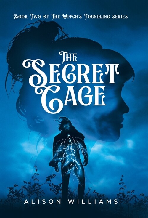 The Secret Cage (Hardcover)