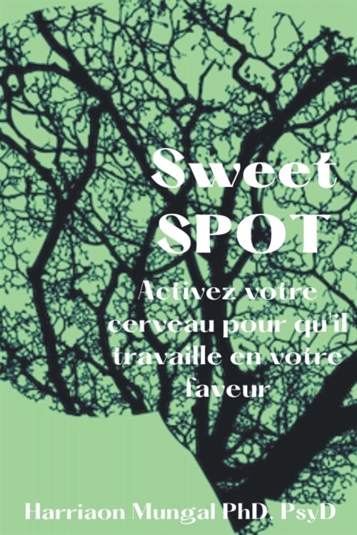 Sweet Spot: Activez votre cerveau pour quil travaille en votre faveur (Paperback)