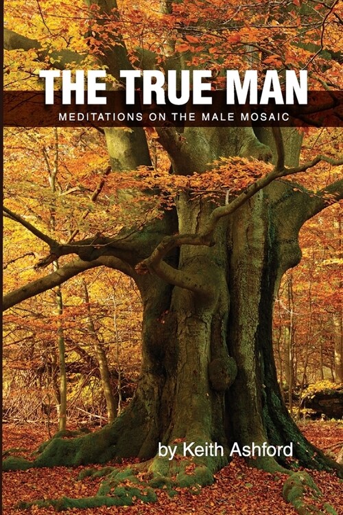 The True Man: Meditations on the Male Mosaic (Paperback)