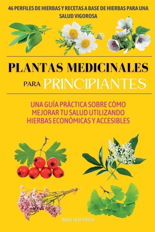 Plantas medicinales para principiantes: Una gu? pr?tica sobre c?o mejorar tu salud utilizando hierbas econ?icas y accesibles (Paperback)