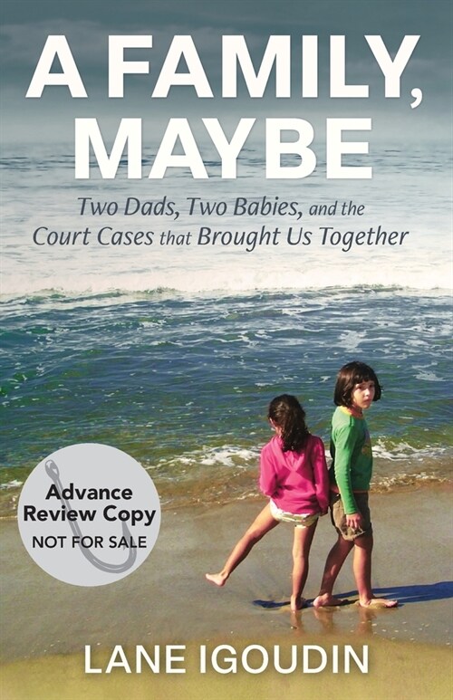 A Family, Maybe: Two Dads, Two Babies, and the Court Cases That Brought Us Together (Paperback)