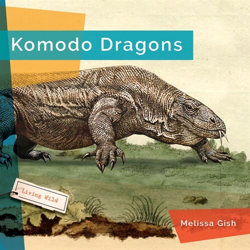 Komodo Dragons (Paperback)