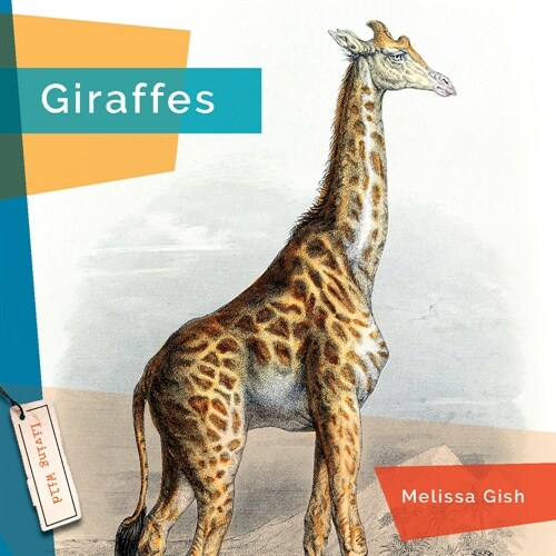 Giraffes (Paperback)