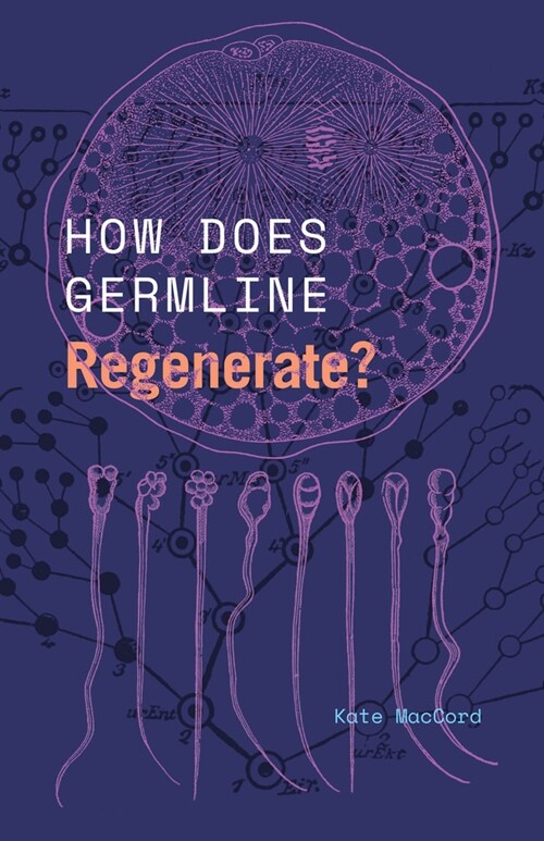 How Does Germline Regenerate? (Paperback)