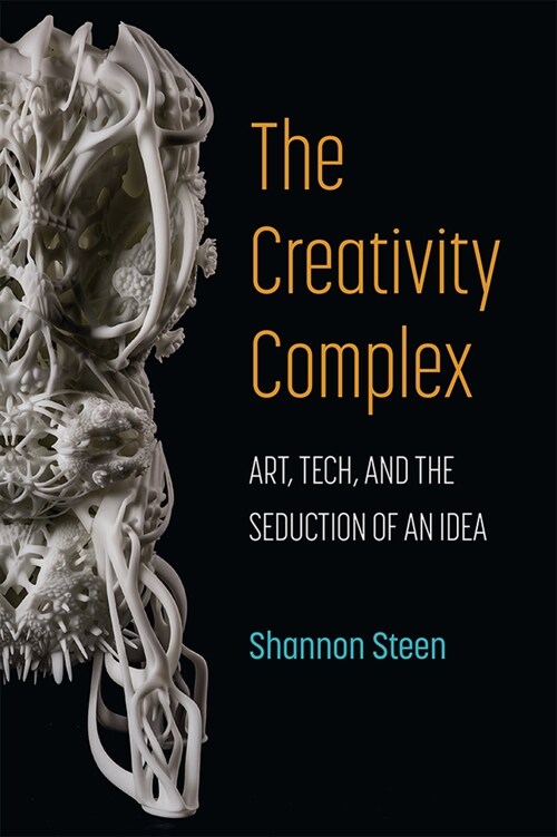 The Creativity Complex: Art, Tech, and the Seduction of an Idea (Paperback)