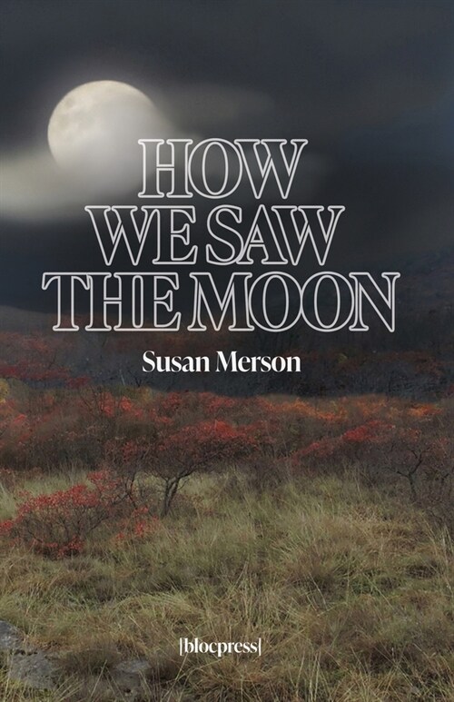 How We Saw the Moon (Paperback)