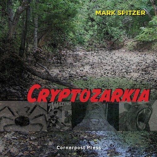 Cryptozarkia (Paperback)