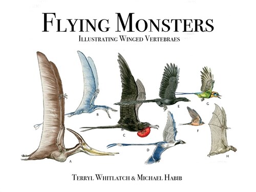 Flying Monsters (Hardcover)