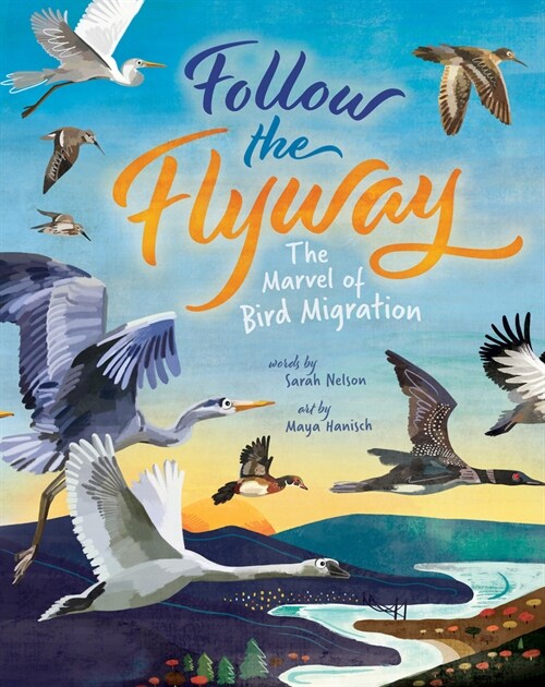 Follow the Flyway: The Marvel of Bird Migration (Paperback)