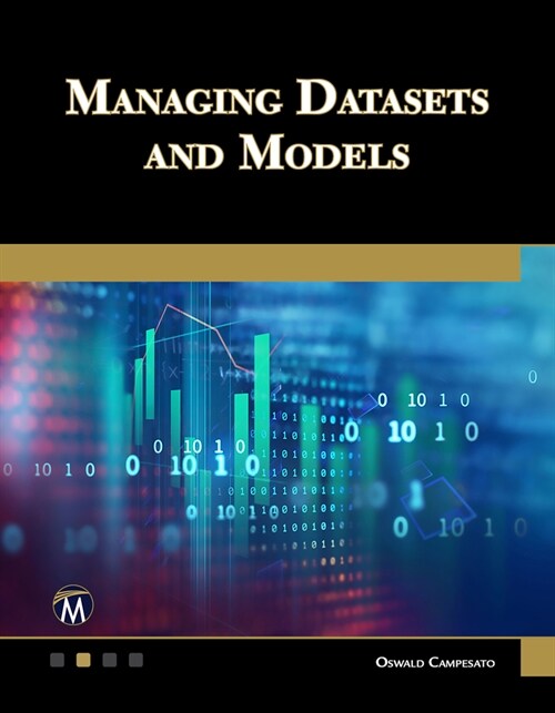 Managing Datasets and Models (Paperback)