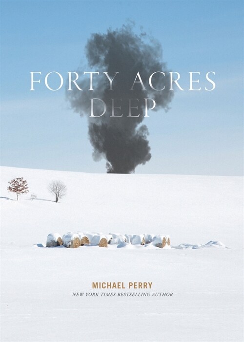Forty Acres Deep (Paperback)