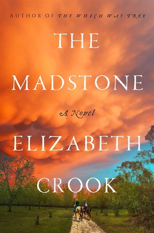 The Madstone (Hardcover)