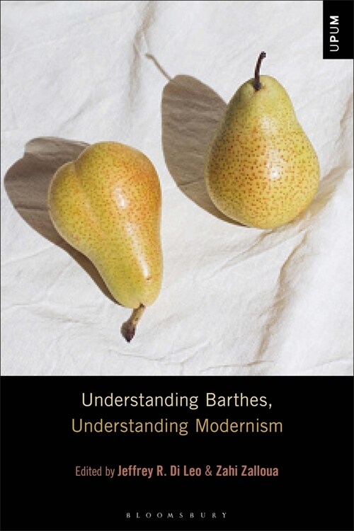 Understanding Barthes, Understanding Modernism (Paperback)