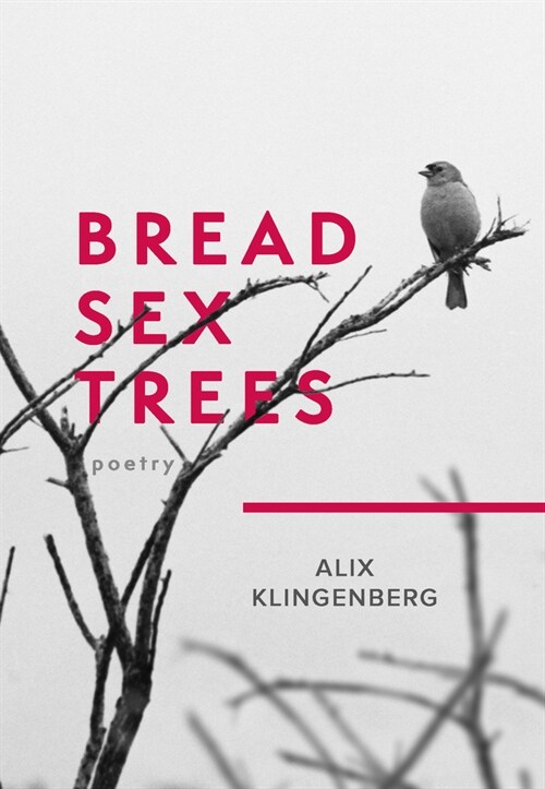 Bread Sex Trees: Poetry (Paperback)