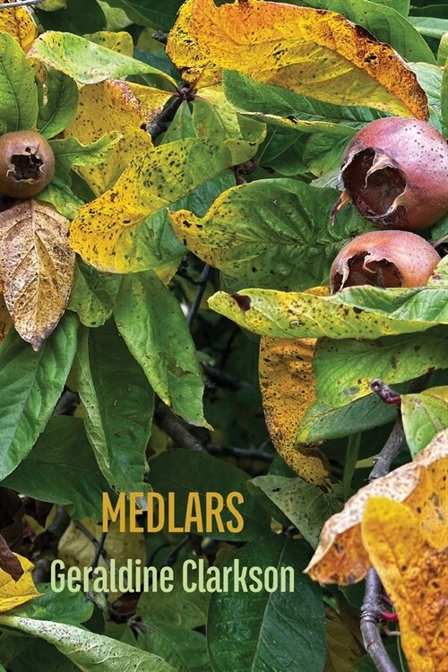 Medlars (Paperback)