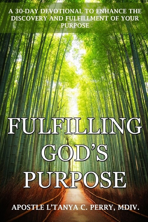 Fulfilling Gods Purpose: A 30-Day Devotional to Enhance the Discovery and Fulfillment of Your Purpose (Paperback)